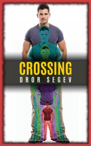 תמונה-חוצה-אנגלית